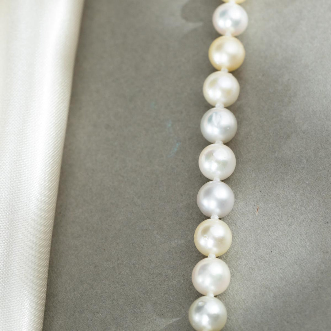 Natural Multi Akoya Pearl Necklace 6.5-7mm, S925 Silver