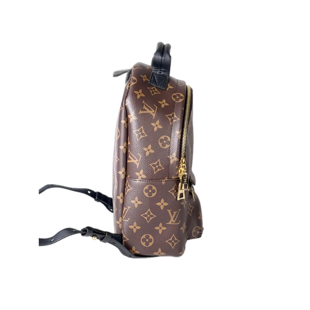 Louis Vuitton Backpack Small Monogram Bag