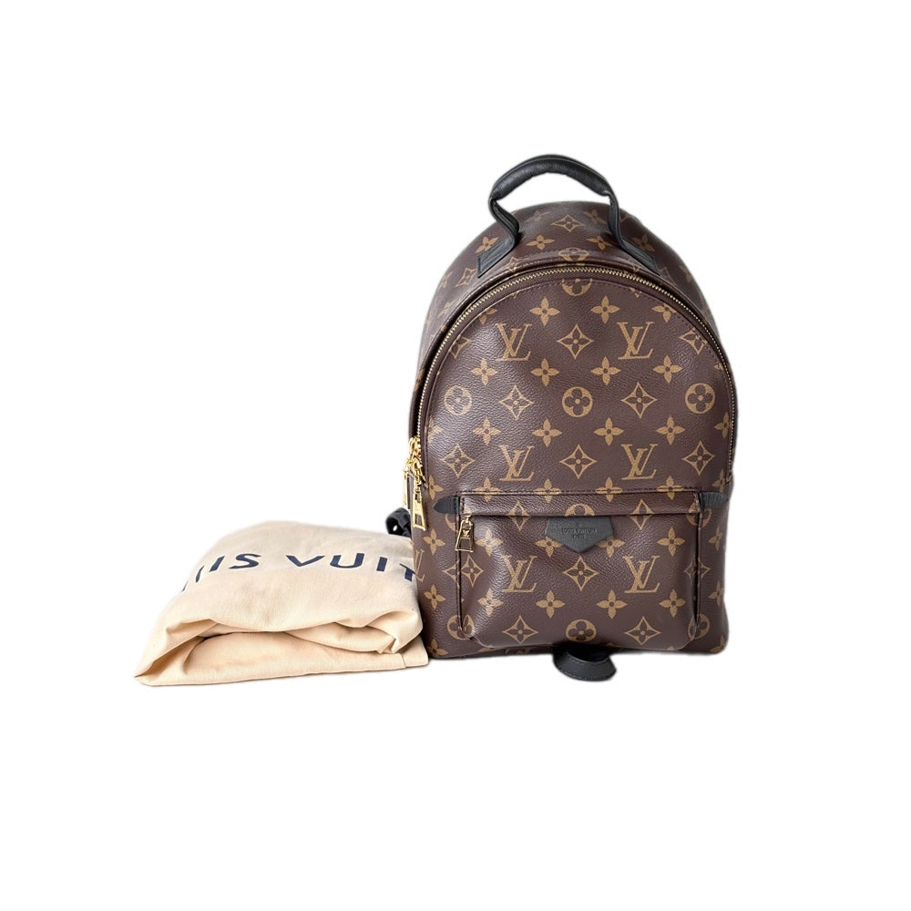 Louis Vuitton Backpack Small Monogram Bag
