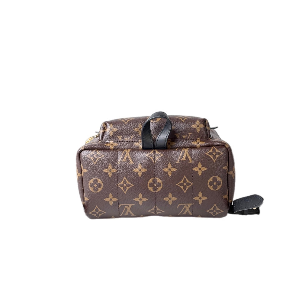 Louis Vuitton Backpack Small Monogram Bag