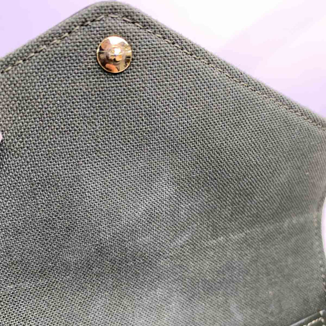 Louis Vuitton Felicie Strap & Go Monogram Bag