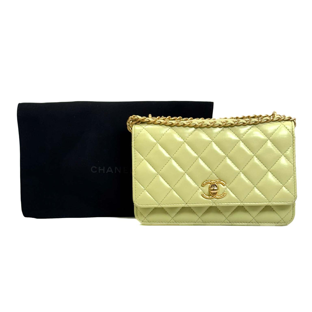 Chanel 23C Classic Flap Woc