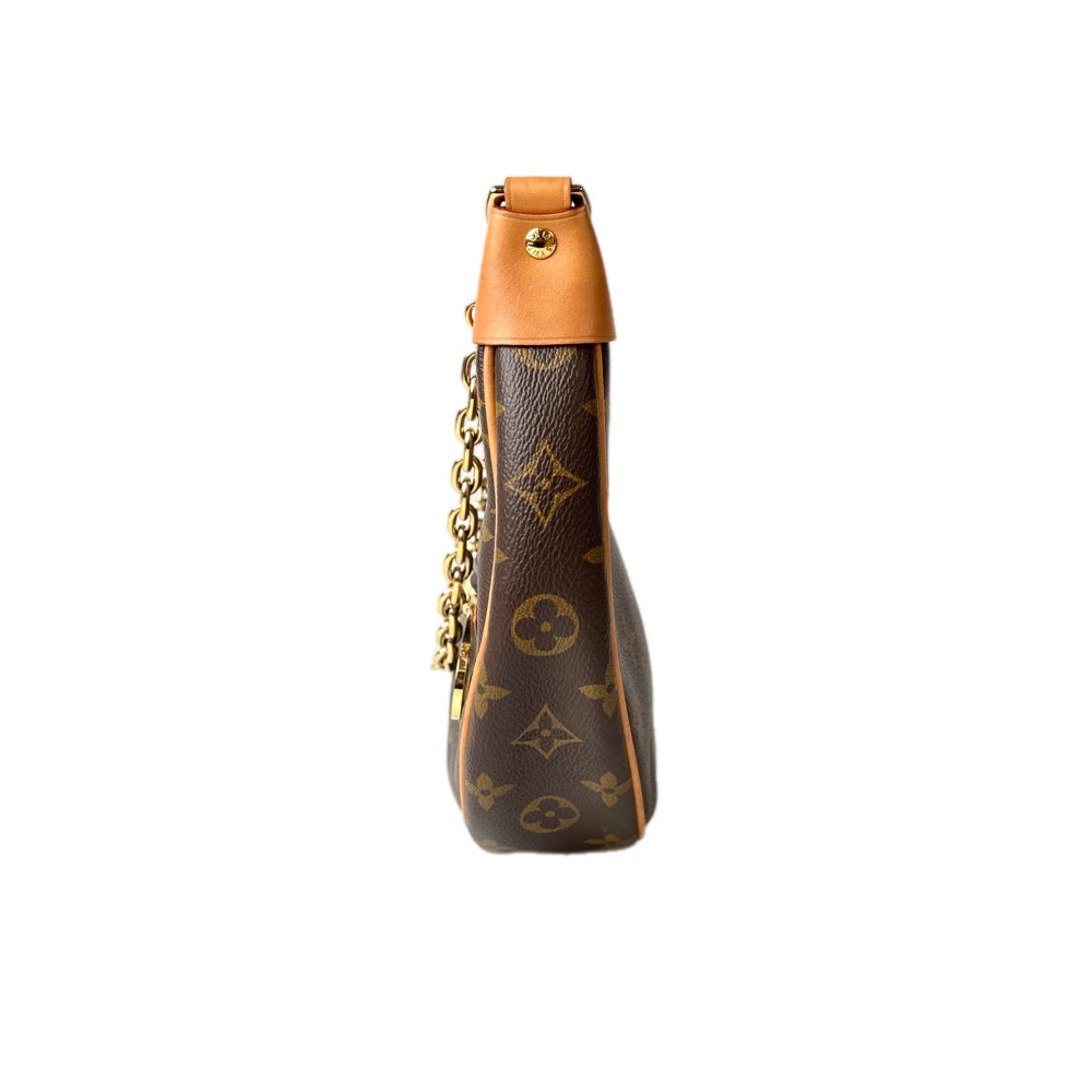 Louis Vuitton Loop Monogram Hobo Bag