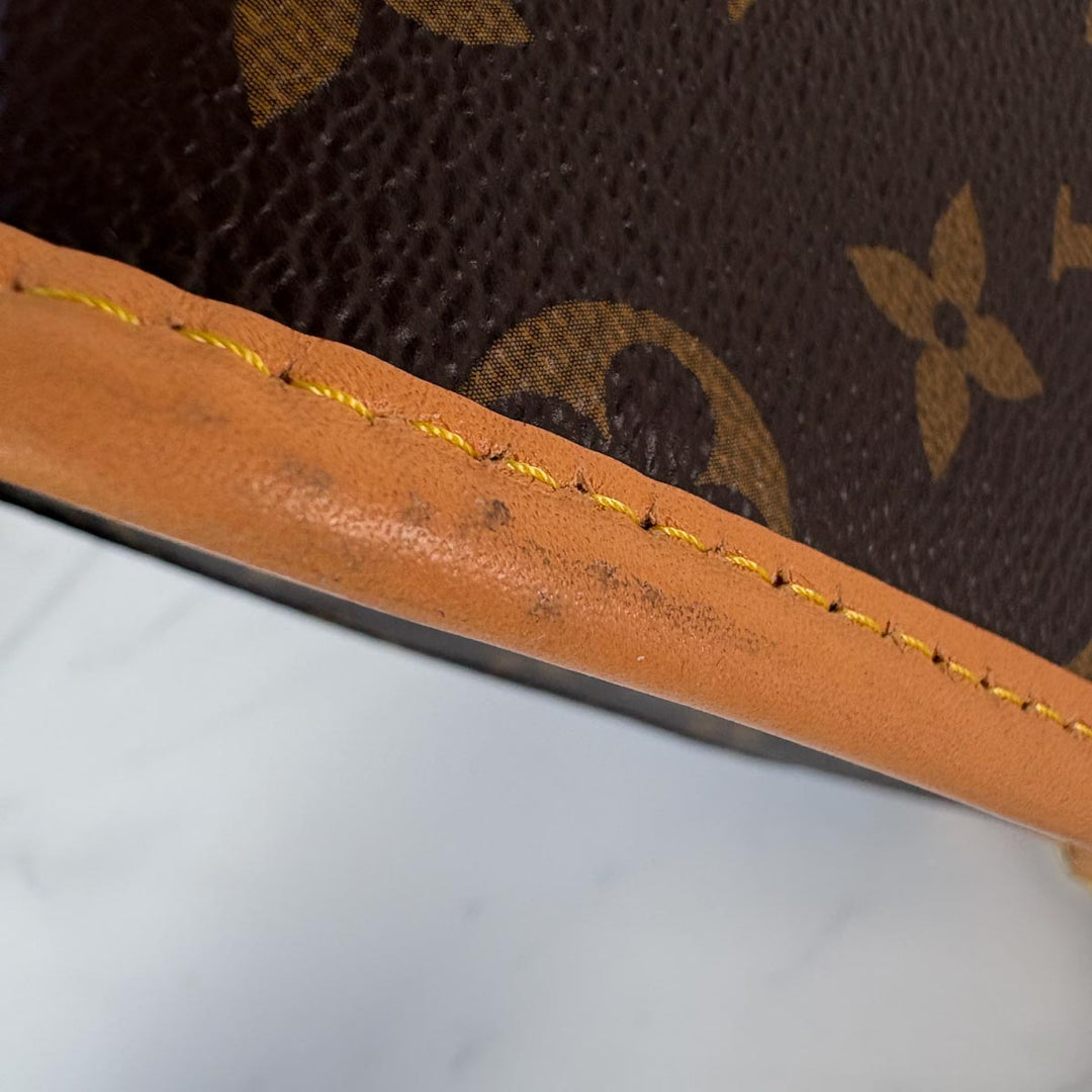 Louis Vuitton Diane Bag Monogram