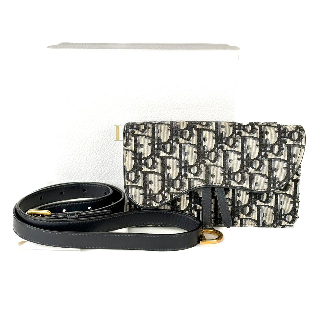 Dior Saddle Belt Pouch Oblique