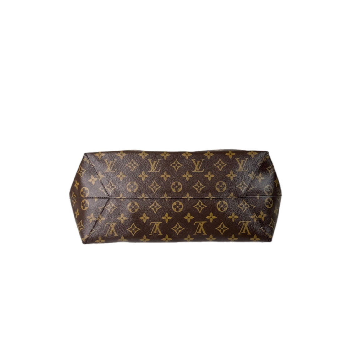 Louis Vuitton Flower Hobo Monogram Bag