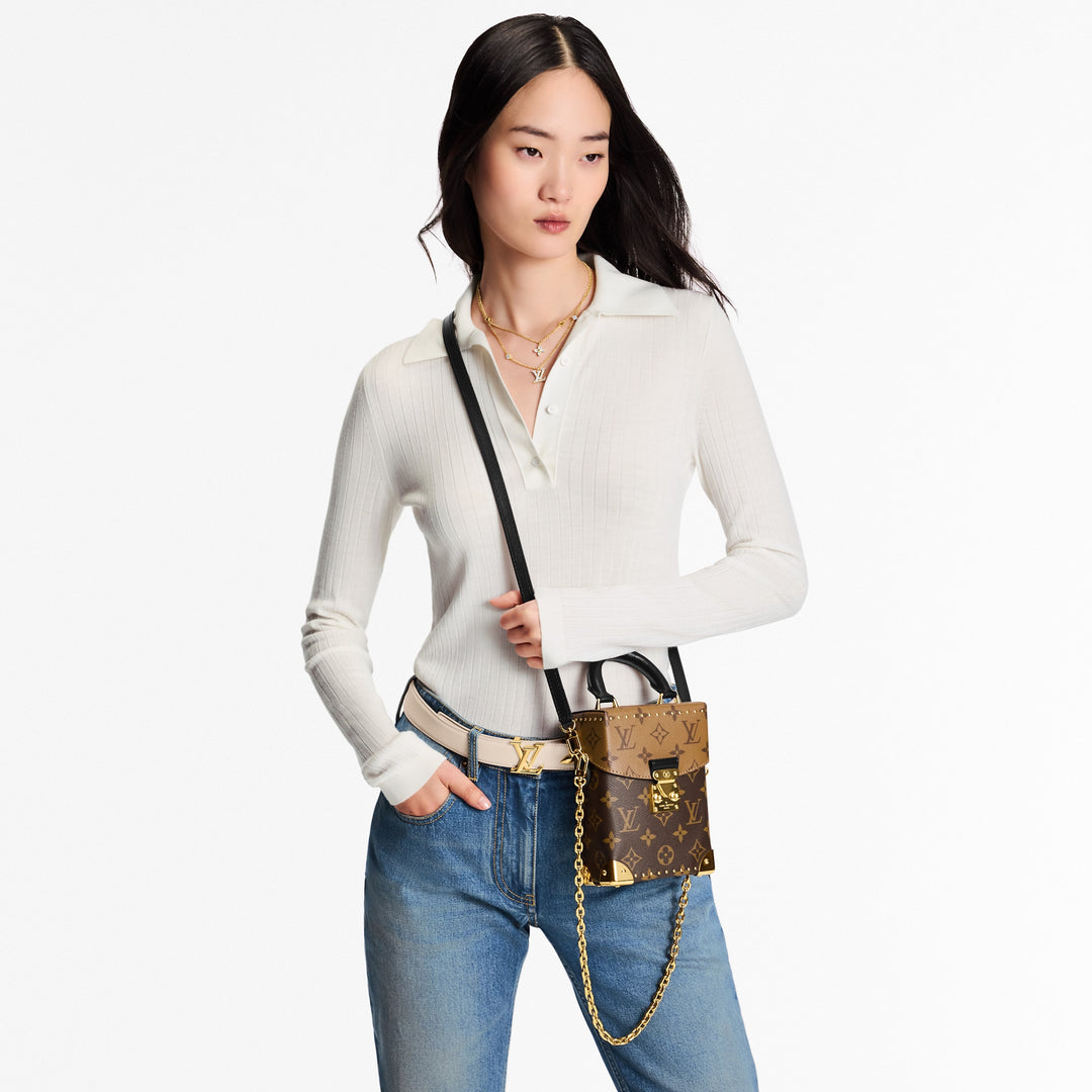 Louis Vuitton Camera Box Monogram Reverse Canvas Bag